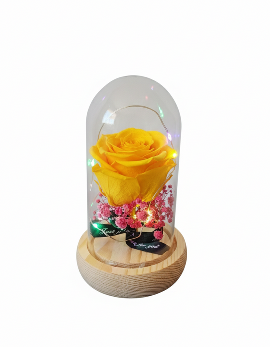 Rosa Eterna en Cúpula
