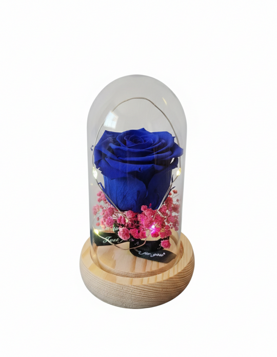 Rosa Eterna en Cúpula