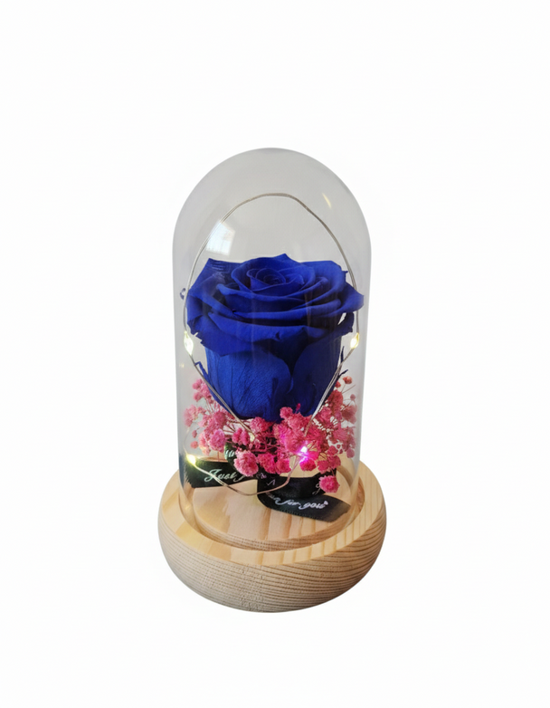 Rosa Eterna en Cúpula