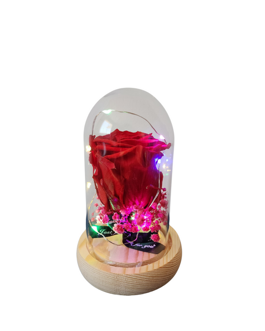 Rosa Eterna en Cúpula